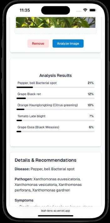 Musicality mobile view